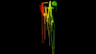 Rasta Drip BPL