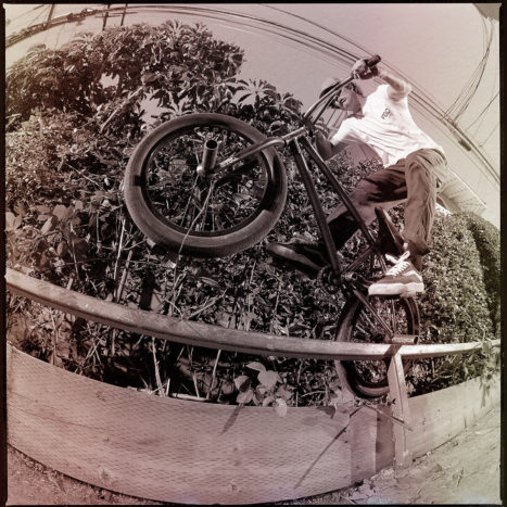 cannondale bicycle corporation bike